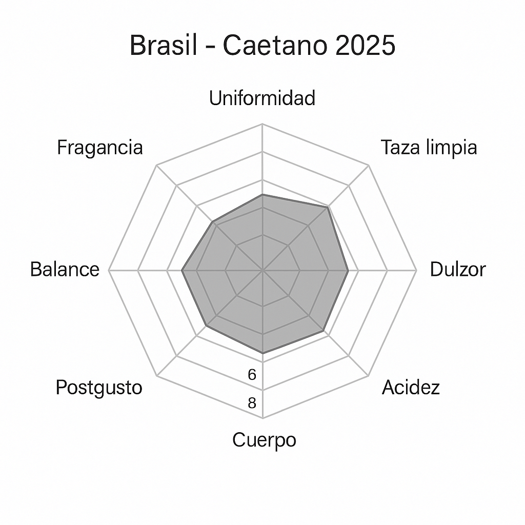 CAFE VERDE EN GRANO BRASIL CAETANO