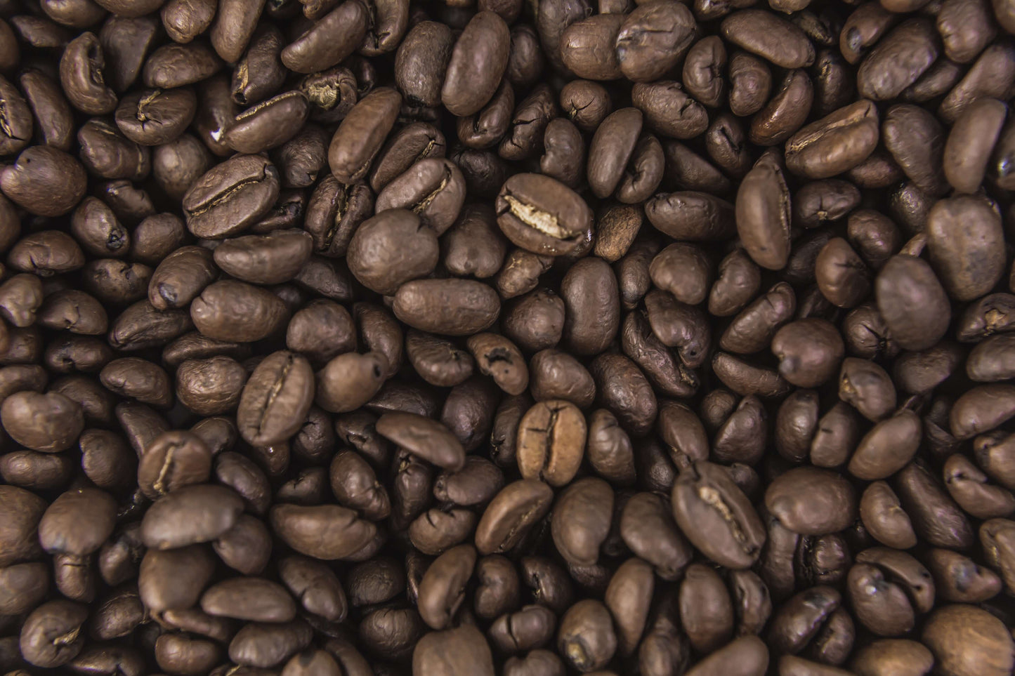 CaféDeEspecialidad
#Café3Orígenes
#CaféArtesanal
#DegustaCafé
#CaféDeOrigen
#CaféOrgánico
#TazaDeCafé
#CaféParaExpertos
#CaféExclusivo