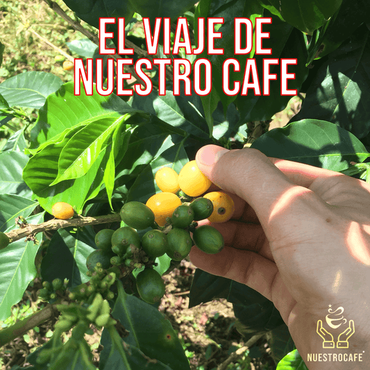 Cafe de Grano Peru