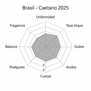 CAFE VERDE EN GRANO BRASIL