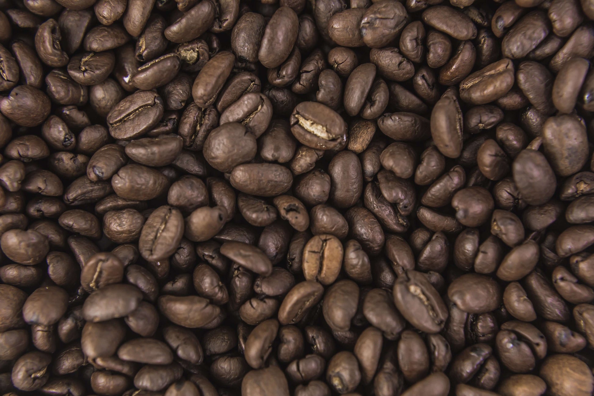 CaféDeEspecialidad

#Café3Orígenes

#CaféArtesanal

#DegustaCafé

#CaféDeOrigen

#CaféOrgánico

#TazaDeCafé

#CaféParaExpertos

#CaféExclusivo