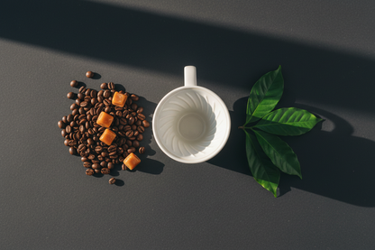 Flat lay V60 Colombia Caldas