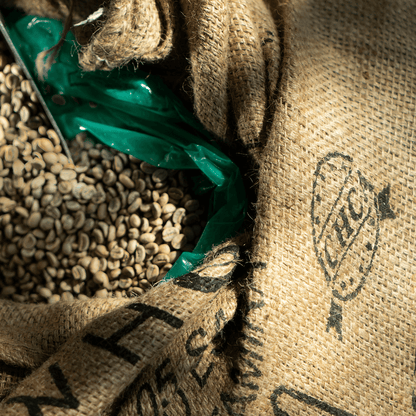 CAFE VERDE EN GRANO PERU